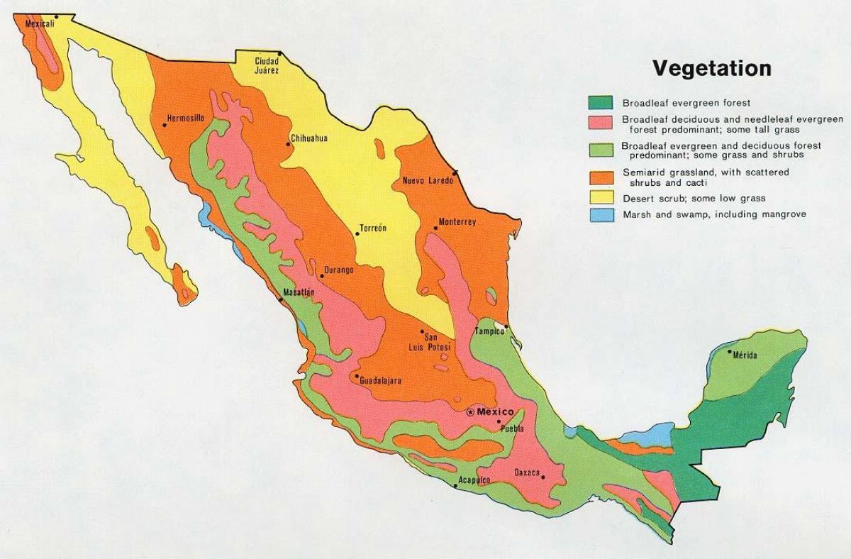मेक्सिको के नक्शे natual ressources